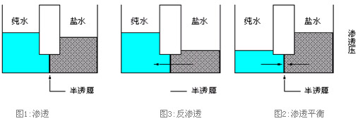 RO反滲透膜的工作原理